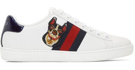 gucci dog shoes